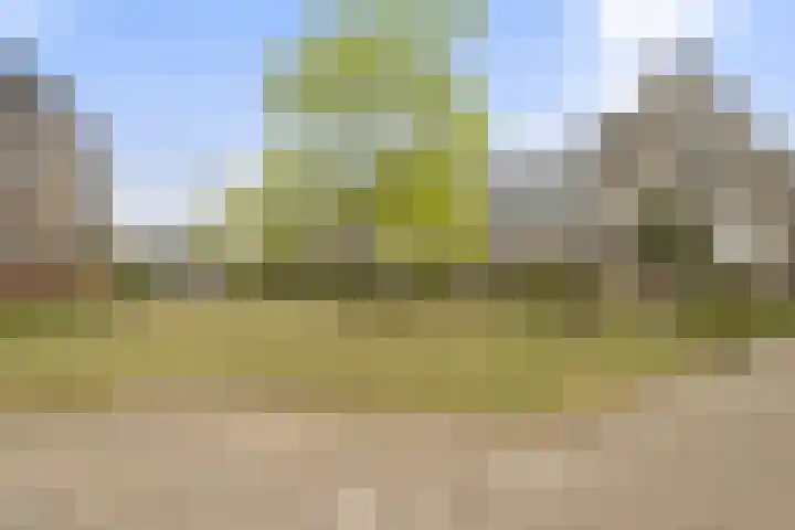 Afrikalaan 37 Drunen thumbnail 27