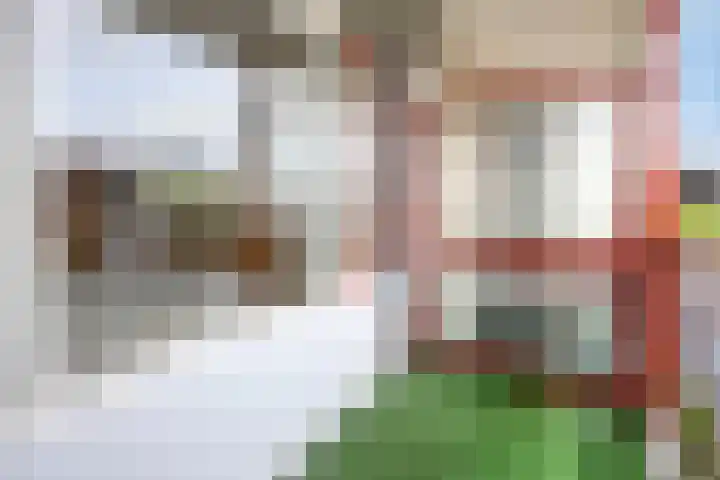 Afrikalaan 37 Drunen thumbnail 5