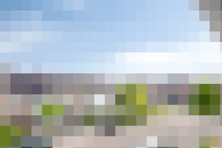 Afrikalaan 37 Drunen thumbnail 8