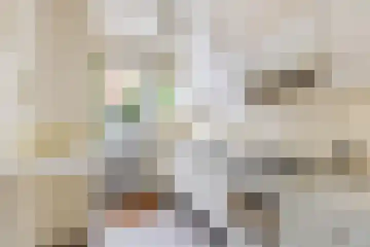 Afrikalaan 47 Utrecht thumbnail 14