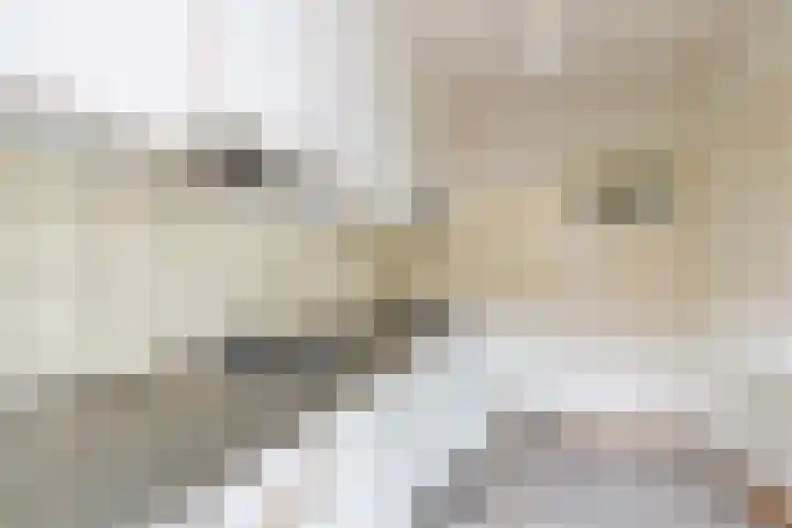 Afrikalaan 47 Utrecht thumbnail 15