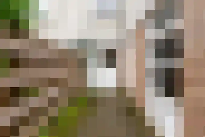 Afrikalaan 47 Utrecht thumbnail 18
