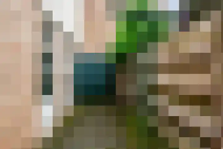 Afrikalaan 47 Utrecht thumbnail 19