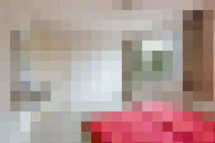 Afrikalaan 47 Utrecht thumbnail 22