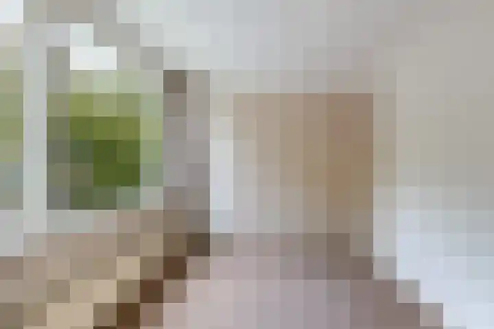 Afrikalaan 47 Utrecht thumbnail 26