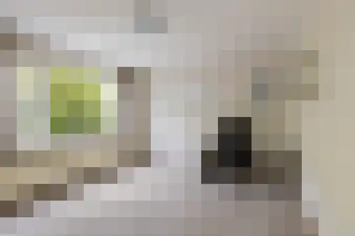 Afrikalaan 47 Utrecht thumbnail 28