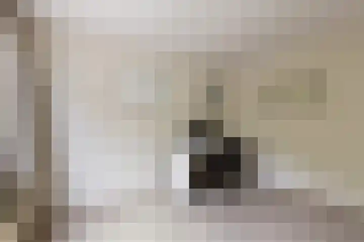 Afrikalaan 47 Utrecht thumbnail 29