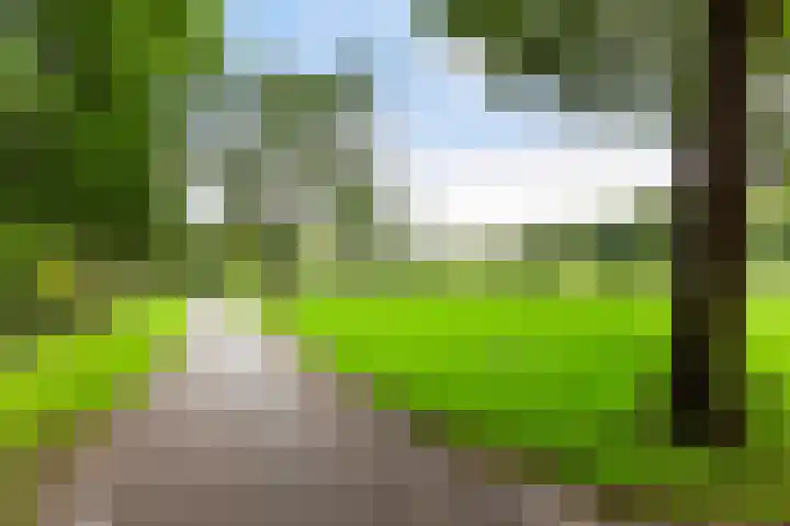Afrikalaan 47 Utrecht thumbnail 34