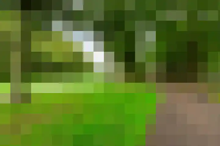 Afrikalaan 47 Utrecht thumbnail 35