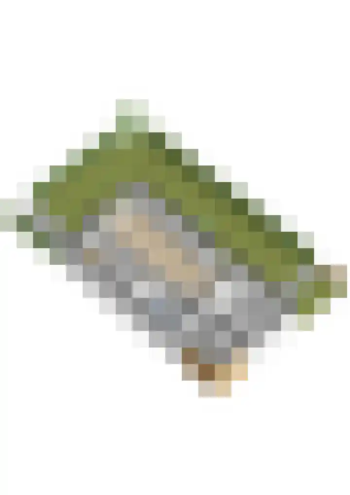 Afrikalaan 47 Utrecht thumbnail 39