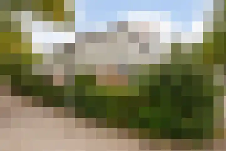 Afrikalaan 47 Utrecht thumbnail 5