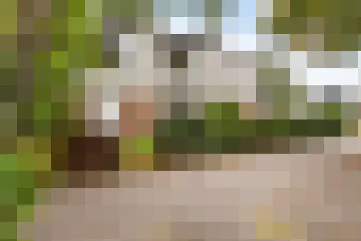 Afrikalaan 47 Utrecht thumbnail 6