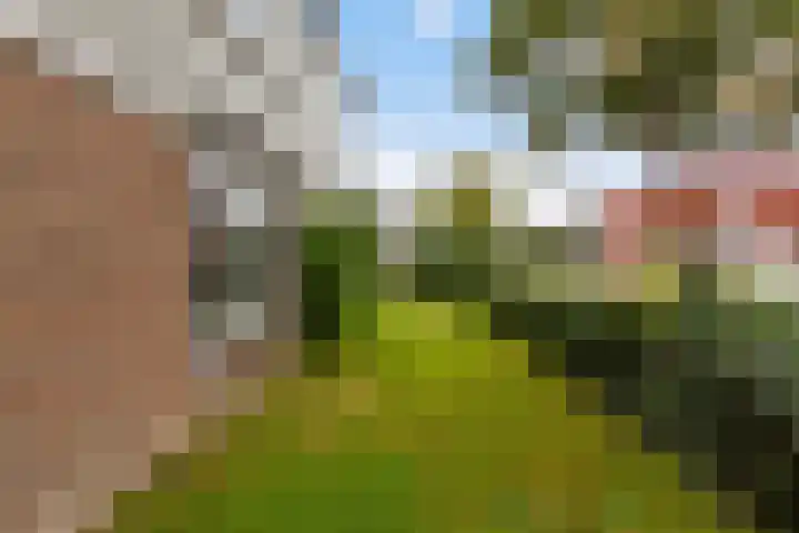 Afrikalaan 47 Utrecht thumbnail 7