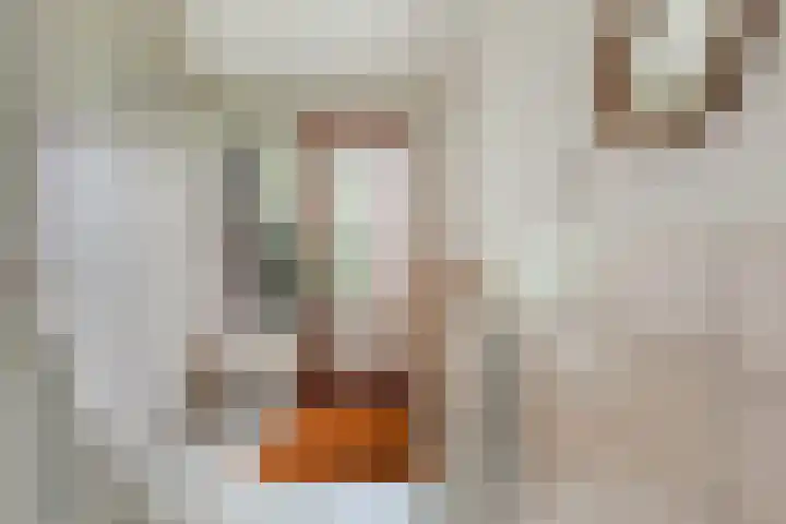 Afrikalaan 47 Utrecht thumbnail 8