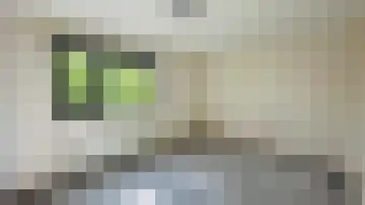 Afrikalaan 56 Delft thumbnail 13
