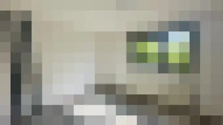 Afrikalaan 56 Delft thumbnail 15