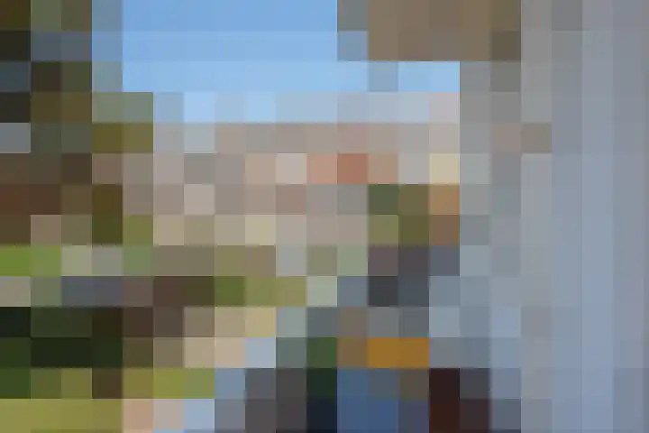 Afrikalaan 6 Drunen