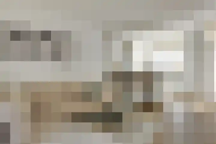 Afrikalaan 6 Drunen thumbnail 11