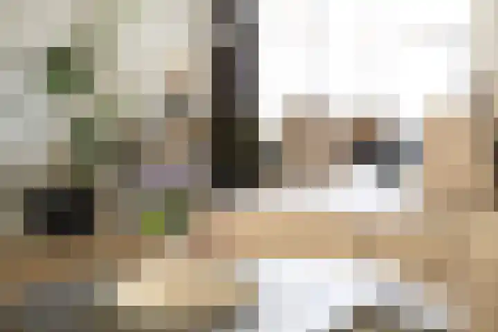 Afrikalaan 6 Drunen thumbnail 13