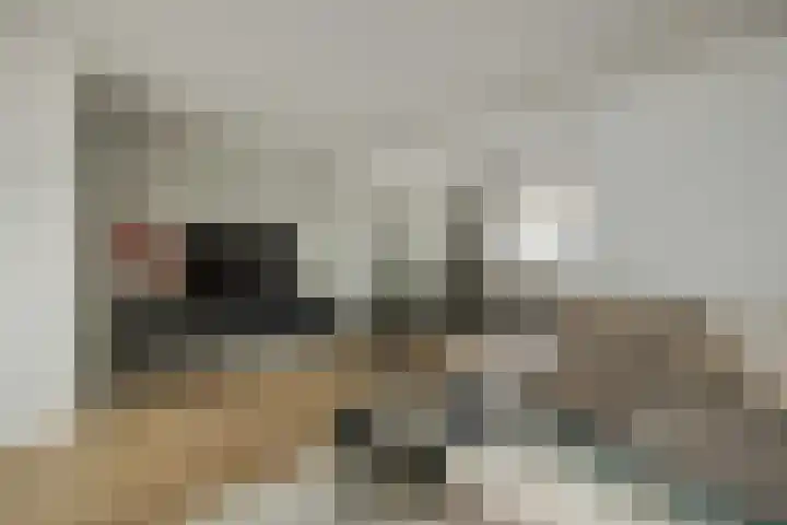 Afrikalaan 6 Drunen thumbnail 14