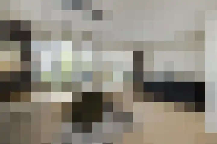 Afrikalaan 6 Drunen thumbnail 15