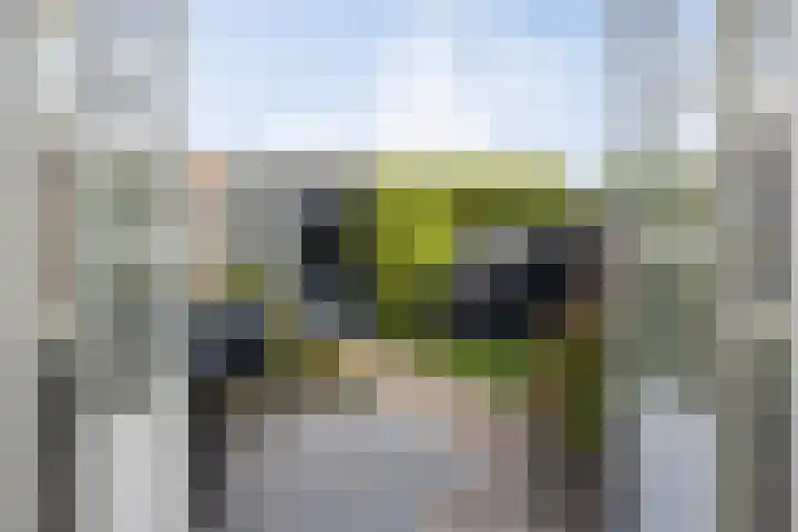 Afrikalaan 6 Drunen thumbnail 16