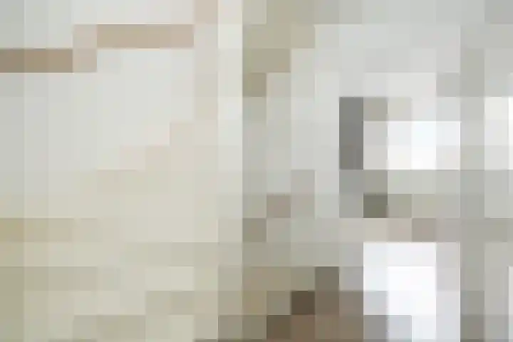 Afrikalaan 6 Drunen thumbnail 17