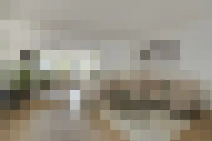 Afrikalaan 6 Drunen foto 2