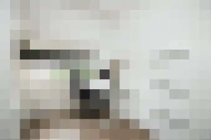 Afrikalaan 6 Drunen thumbnail 23