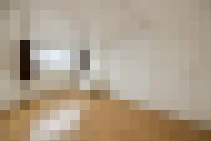 Afrikalaan 6 Drunen thumbnail 25