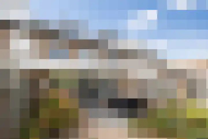 Afrikalaan 6 Drunen thumbnail 29