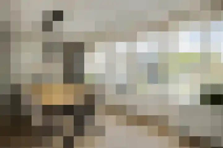 Afrikalaan 6 Drunen foto 3
