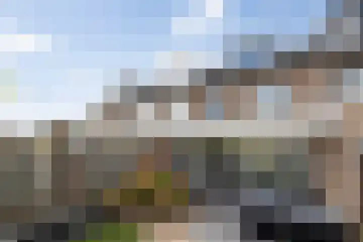 Afrikalaan 6 Drunen thumbnail 30