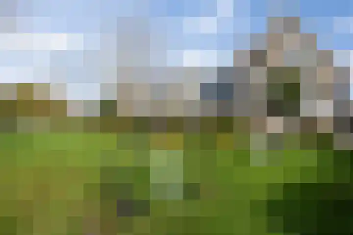 Afrikalaan 6 Drunen thumbnail 33