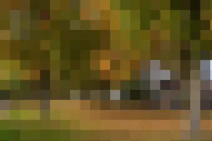 Afrikalaan 6 Drunen thumbnail 34
