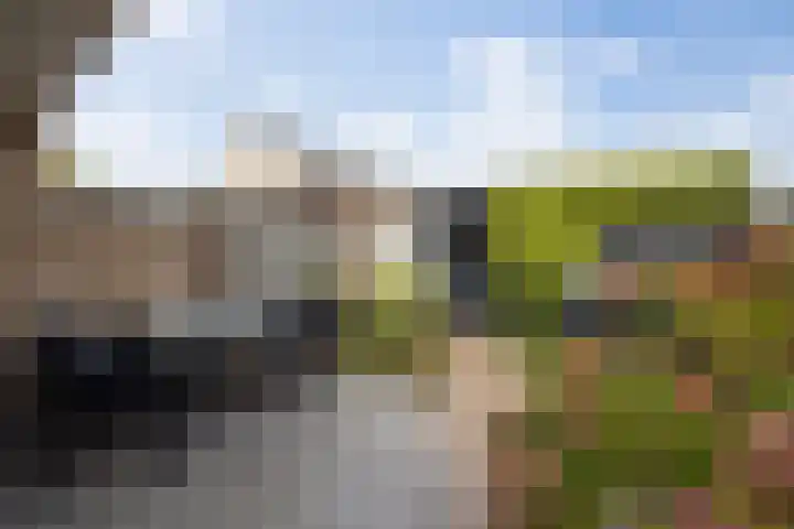 Afrikalaan 6 Drunen thumbnail 4