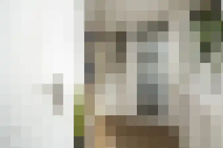 Afrikalaan 6 Drunen thumbnail 5