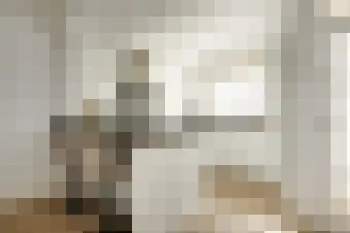 Afrikalaan 6 Drunen thumbnail 7
