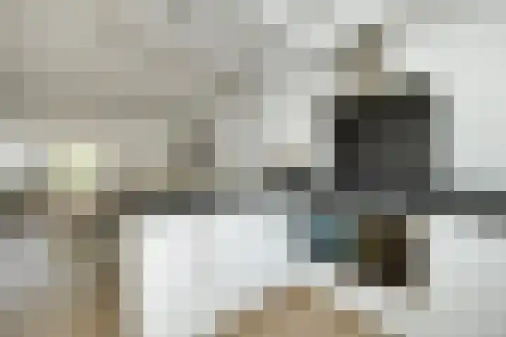 Afrikalaan 6 Drunen thumbnail 8