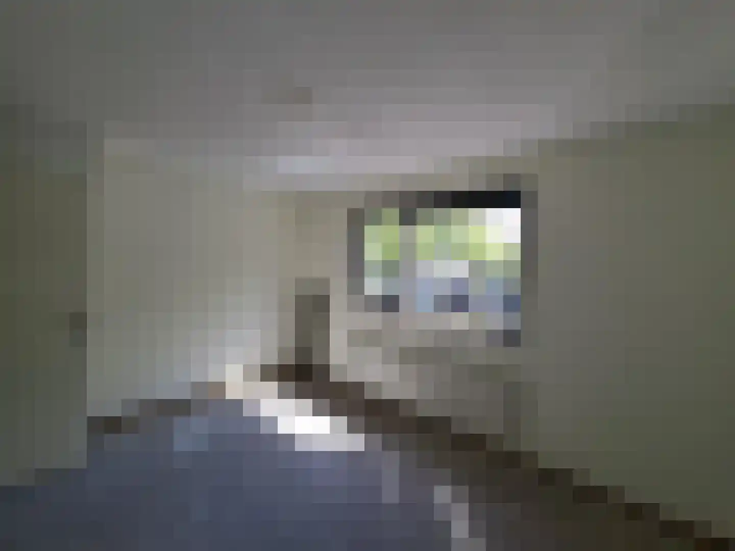Afrikalaan 68 Delft thumbnail 10