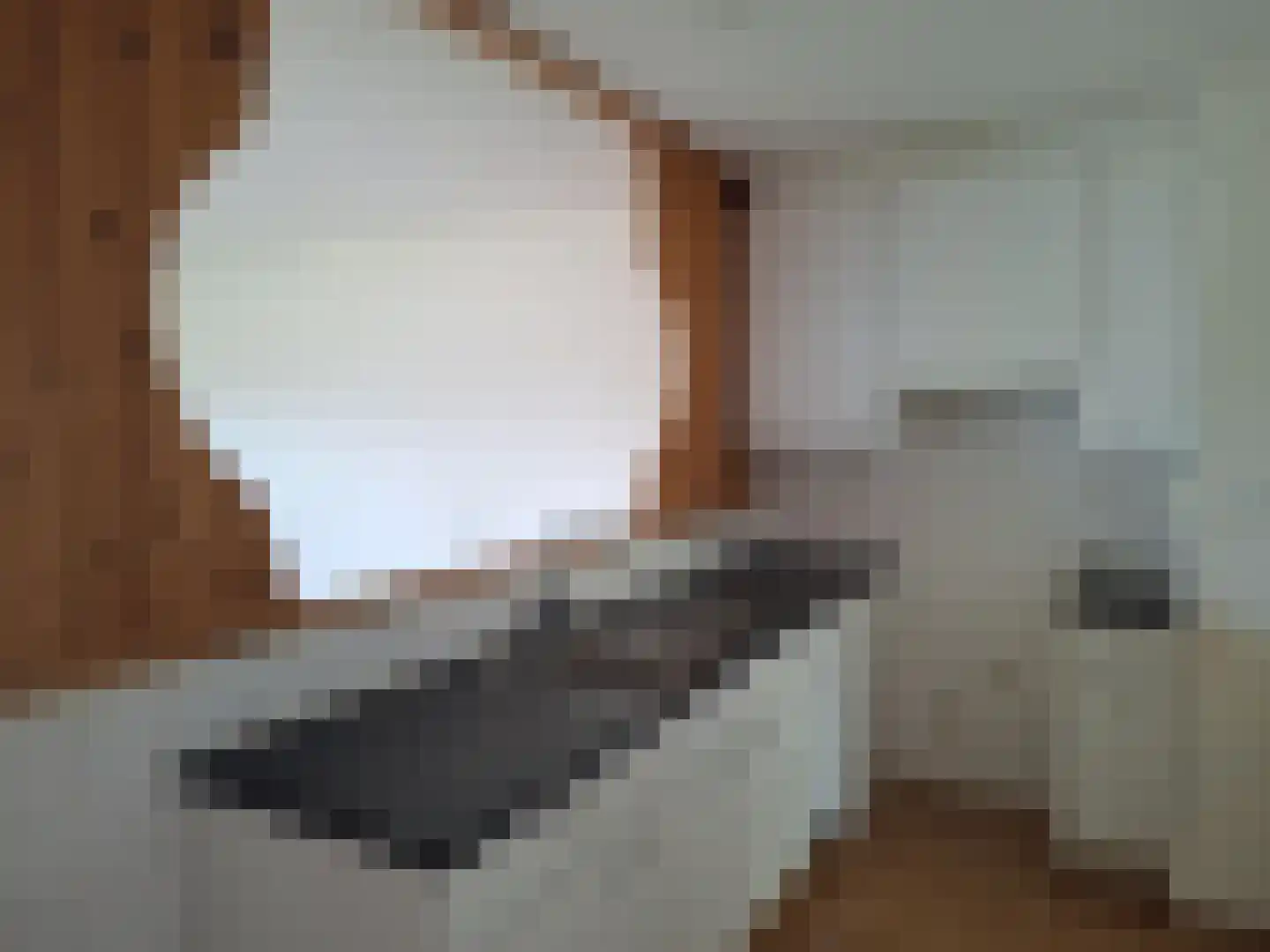 Afrikalaan 68 Delft thumbnail 6