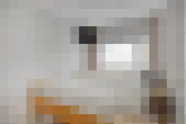 Afrikalaan 68 Drunen thumbnail 14