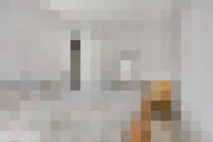 Afrikalaan 68 Drunen thumbnail 15