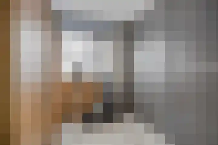 Afrikalaan 68 Drunen thumbnail 19