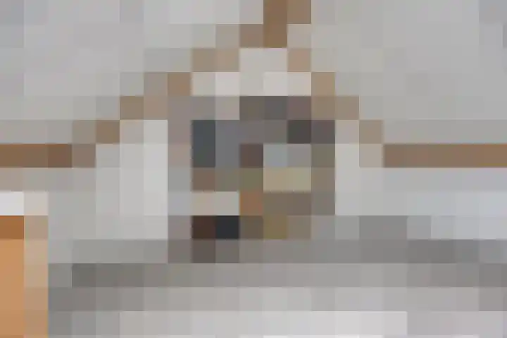 Afrikalaan 68 Drunen thumbnail 21