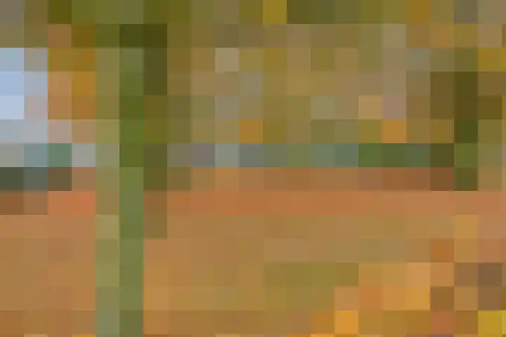 Afrikalaan 68 Drunen thumbnail 29