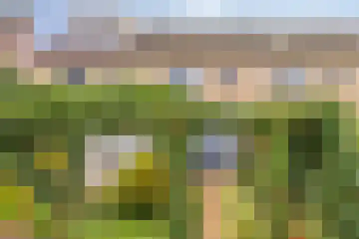 Afrikalaan 68 Drunen thumbnail 4