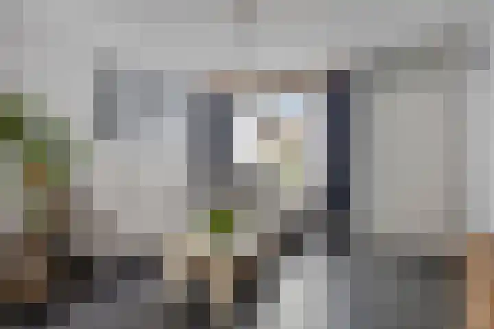 Afrikalaan 68 Drunen thumbnail 6
