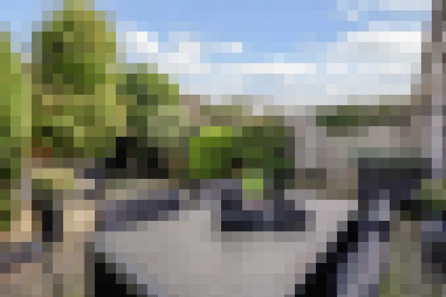 Afrikalaan 69 Alphen aan den Rijn thumbnail 15