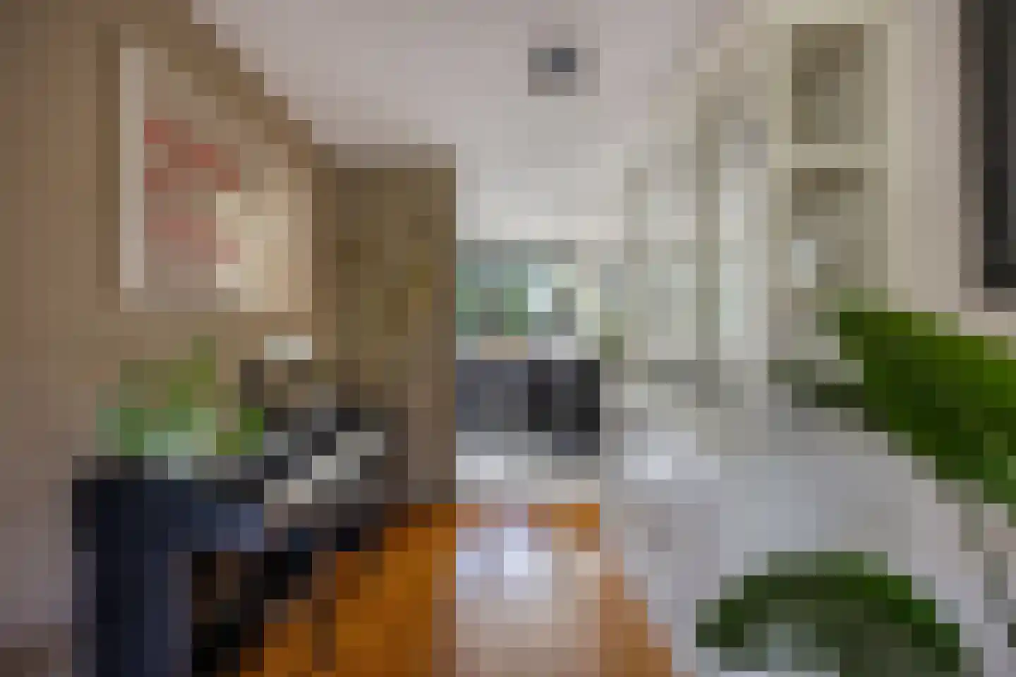Afrikalaan 69 Alphen aan den Rijn thumbnail 21